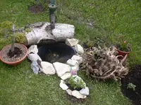 21.04.2010 005.webp