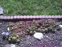 PIC00279.webp