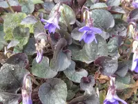 IMG_3783_1024x768.webp