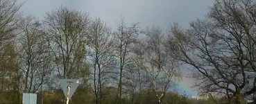 P1030400.webp