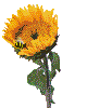 blumen029.gif