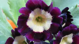 048.webp