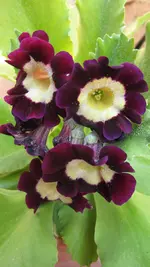 049.webp