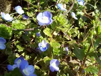 100_1224_800x600.webp