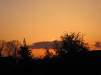 IMG_0816.webp