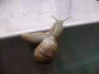 2010  Berlin 04 422.webp