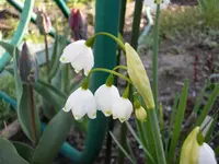 2010  Berlin 04 510.webp