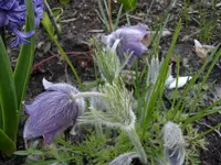 2010  Berlin 04 515.webp