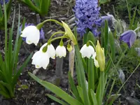 2010  Berlin 04 519.webp