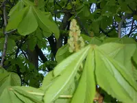 2010  Berlin 04 499.webp
