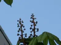 2010  Berlin 04 501.webp