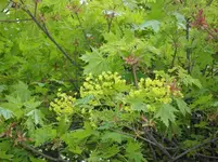 2010  Berlin 04 482.webp