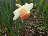 2010  Berlin 04 384.webp