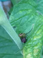20250830_195552.webp