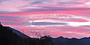 IMG_4791 v (2).webp