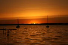 020.webp