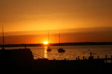 027.webp