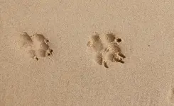 20250831_152332.webp