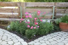 IMG_5623.webp IMG_5623.webp