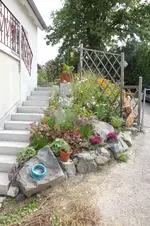 IMG_5669.webp IMG_5669.webp