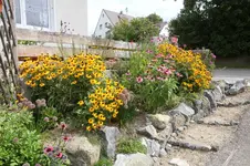 IMG_5670.webp IMG_5670.webp