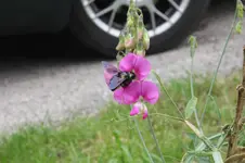 IMG_5629.webp IMG_5629.webp