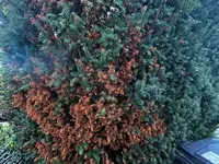 002.webp
