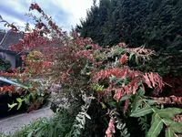 003.webp