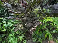 001.webp