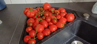 20250903_112332.webp