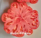 20250903_112448.webp