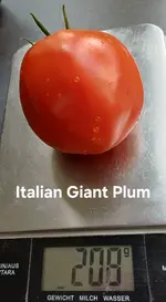 20250903_112841.webp