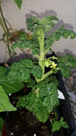20140719_171415.webp