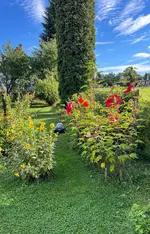 Bildschirmfoto 2025-09-04 um 07.22.42.webp