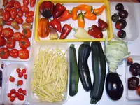 Ernte04.09.25.webp