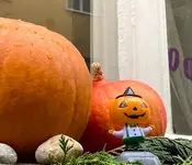 Kürbis.webp
