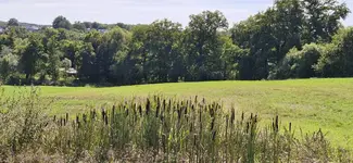IMG-20250907-WA0016.webp
