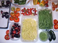 Ernte 07.09.25.webp