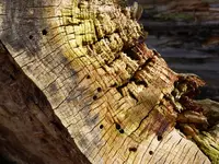 023.webp
