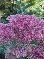 20250912_170132.webp
