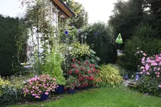 Sept .     0325.webp