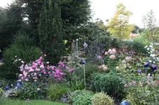 Sept .     0425.webp