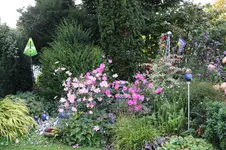 Sept .     0525.webp