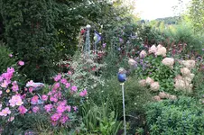 Sept .     0725.webp