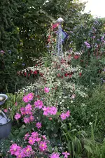 Sept .     0925.webp