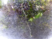 012.webp