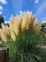 20250914_160130.webp