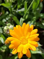 20250914_160109.webp