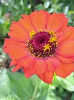 20250914_151425.webp