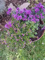 20250914_151400.webp